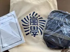 嵐のワクワク学校　グッズ