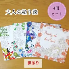 大人の塗り絵 【訳あり】 4冊セット ぬりえ 花 海外 #011