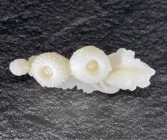 ◆可憐な印象の御品です◆玉菊の和風モチーフブローチⅣ◆帯留めにも