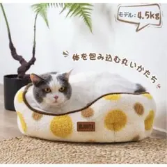 Item thumbnail for item 28a15f67-21b3-46df-8411-65b2d1a26556