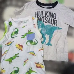 恐竜柄 Tシャツとタンクトップセット　サイズ110
