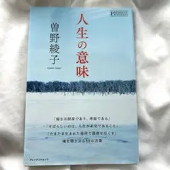 Item thumbnail for item f24b6428-1ca8-4329-a648-b91408f63a44