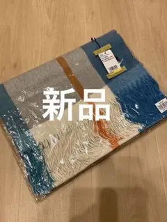 U.S. POLO ASSN. チェック柄マフラー