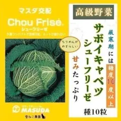 【野菜の種】サボイキャベツ１０粒　ちりめんが強く甘みが多い！美しい高級キャベツ