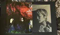 DIR EN GREY MORTAL DOWNER ステッカー 京 - メルカリ