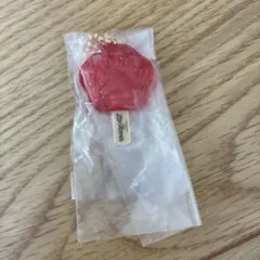 ズートピア　アイスキャンディーチャーム