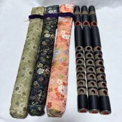 Item thumbnail for item 90fffe55-2758-4c25-9bba-f46de2f52d95