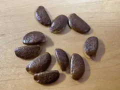 2026年最新】老爺柿種の人気アイテム - メルカリ