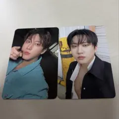 Stray Kids チャンビン トレカ THIS&THAT fans ver.