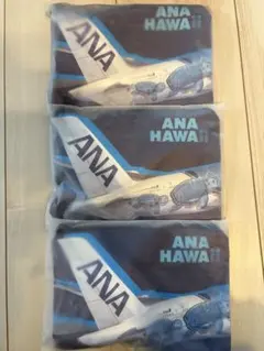 フライングホヌ 旅行用品