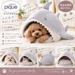 シンピンヒツジ需用 ジェラート pique CAT&DOG スムィーシャークハウス