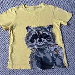 carters アライグマプリント Tシャツ 4tのサムネイル