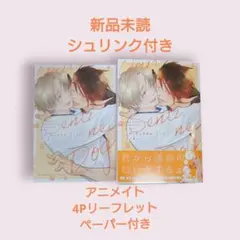 りーるー 先生ユア•センチネル•ドッグ アニメイト4Pリーフレット ペーパー付き