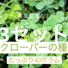 miki様 リクエスト 2点 まとめ商品