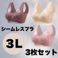 シームレス レースブラ ノンワイヤー 快適 フィット 3L XXL セット