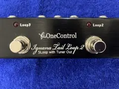 2026年最新】Iguana Tail Loop 2の人気アイテム - メルカリ