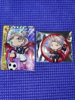 FGO 武田信玄 武田晴信 缶バッジ カード FGOフェス きゃらとりあ