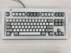 IBM Model M Space Saver 87年製バックリングスプリング Model M Space Saving Keyboard