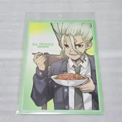 Dr.STONE アモカフェ A4 ビジュアル パネル 石神千空