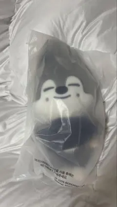 2025年最新】skzooブランケットの人気アイテム - メルカリ