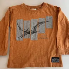 BREEZEロンT110 恐竜