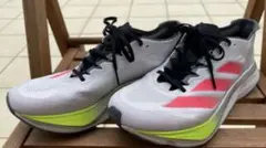 Item thumbnail for item b156baf1-c18e-44f1-9deb-8ae6661f6d09