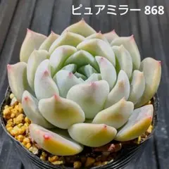 ꕤclara*様 リクエスト 3点 まとめ商品