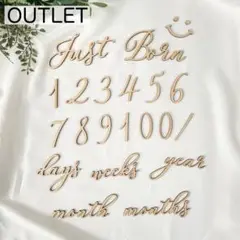 【OUTLET】木製 レターバナー 月齢フォト 20点セット / D