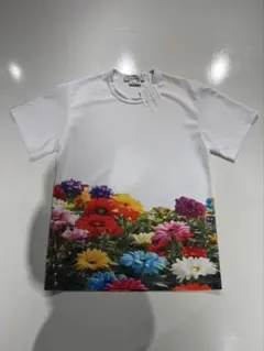 Item thumbnail for item 25fd429b-4889-45f0-b7bf-694c17d2ff58