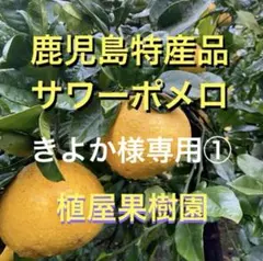 （鹿児島特産品）きよか様専用①サワーポメロ　箱満杯詰　いちき串木野市産