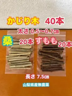 かじり木　2種類40本　桑　すもも　0.5〜0.7㎝　山梨県産無農薬のサムネイル