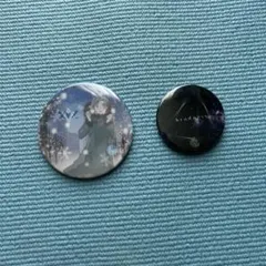 Item thumbnail for item 245dc29b-8a1a-4c30-9f6f-bdf7c3245d54