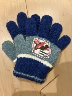 未使用★ポケモン手袋★ガラルファイヤー