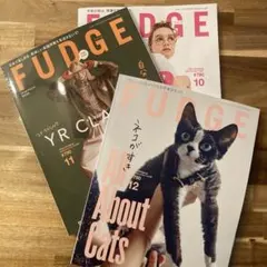 FUDGE 12月最新号含む3冊セット