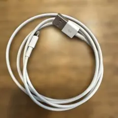 iPhone/Lightningケーブル USB-A