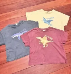 Samantha Mos2 恐竜プリント 半袖Tシャツ 3枚セットのサムネイル