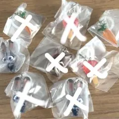 ズートピア　めじるしアクセサリー