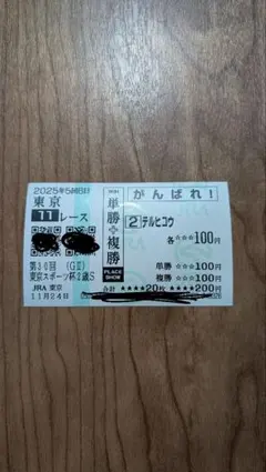 応援現地馬券　テルヒコウ東スポ杯2歳S