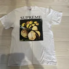 Supreme フルーツアートプリント Tシャツ S