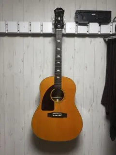 2026年最新】texan epiphoneの人気アイテム - メルカリ