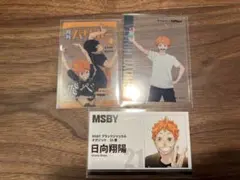 ハイキュー　日向翔陽