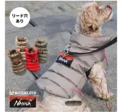 Item thumbnail for item 2c8f02cf-f7e2-4db2-aa05-28479baa4f84