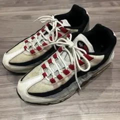NIKE Air Max 95 ダークビートルート - メルカリ