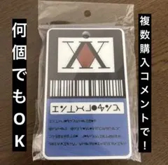 ハンターライセンス Amazon.co.jp: Set of 2 Hunter Hunter License Cards - Set of 2