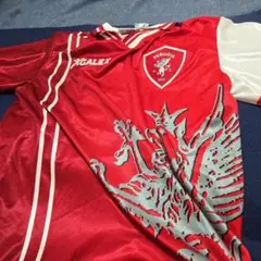 元日本代表 中田英寿 ペルージャ ユニフォーム　XL 元日本代表 中田英寿 ペルージャ ユニフォーム XL