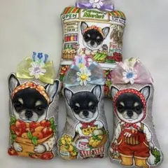 Item thumbnail for item dd026e03-30ed-4cb7-b1ec-09c0e198eac8