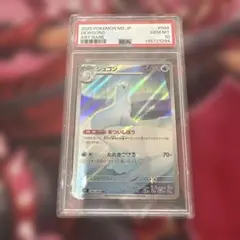 ジュゴンAR PSA10 破損品のサムネイル