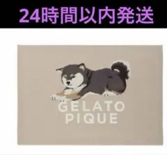 2026年最新】ジェラ 柴犬の人気アイテム - メルカリ