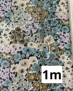 Item thumbnail for item dbdb8826-f0f2-42b2-b2d9-3e6bb1c73952