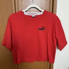 PUMA クロップド Tシャツ レッドのサムネイル